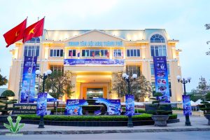 Báo giá in decal trang trí Hải Phòng