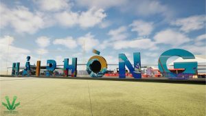 Thiết kế gian hàng triển lãm A80