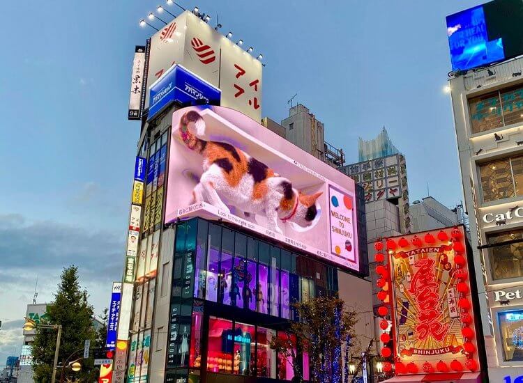 Quy trình thi công chuyên nghiệp